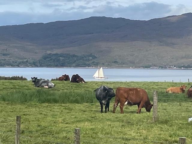 Plockton, Camus Fearn Barn Villa Exterior foto
